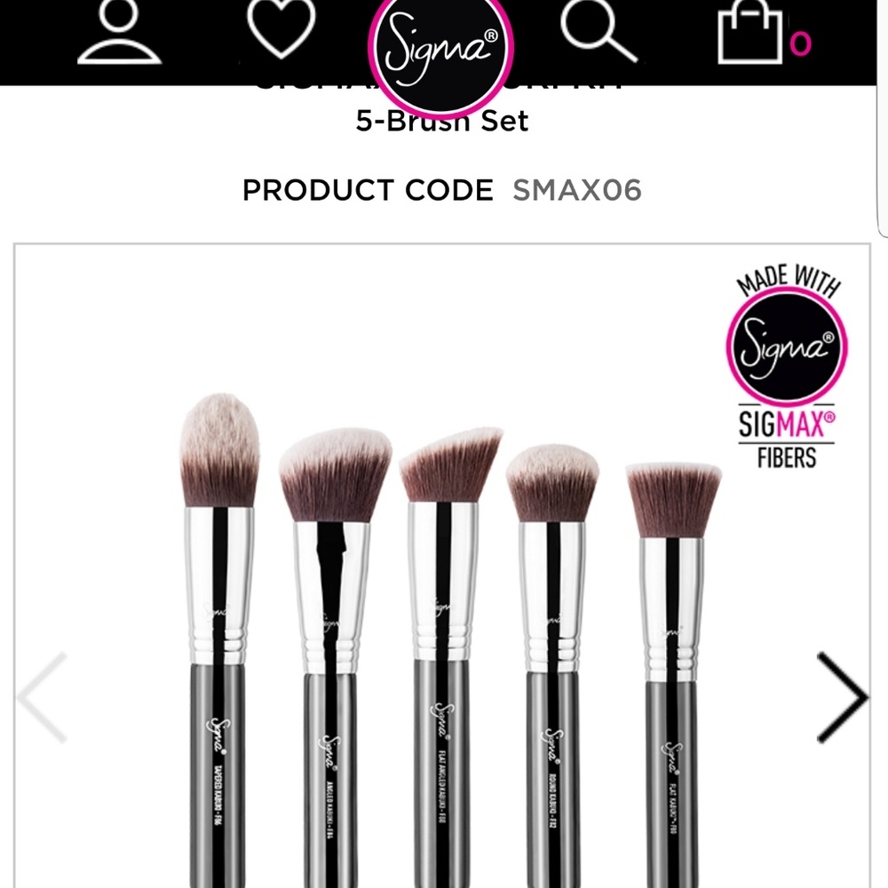 Kabuki kit 5 brush set